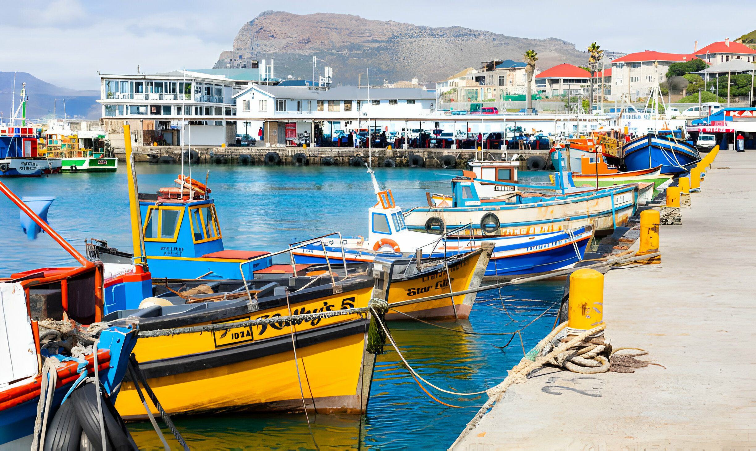 Expanding Opportunities for Western Cape's Small-Scale Fishers