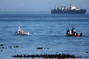 Livestock Vessel Arrival Triggers Odour Concerns in Cape Town