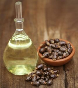 Exploring the Multifaceted Uses and Benefits of Castor Oil