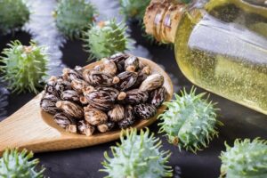 Exploring the Health Benefits of Castor Oil