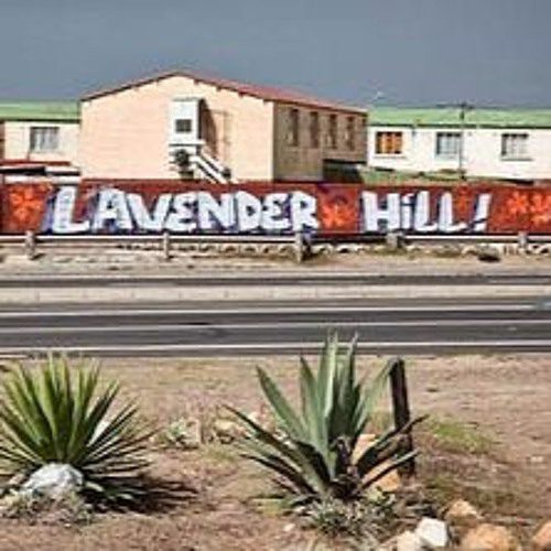 lavender hill