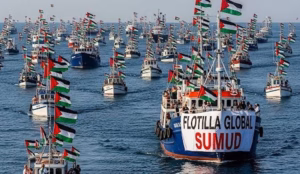 Israeli Forces Intercept Flotilla Carrying Aid Activists and Politicians Bound for Gaza