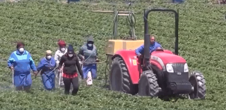 China Deal Signals South Africa New Economic Direction